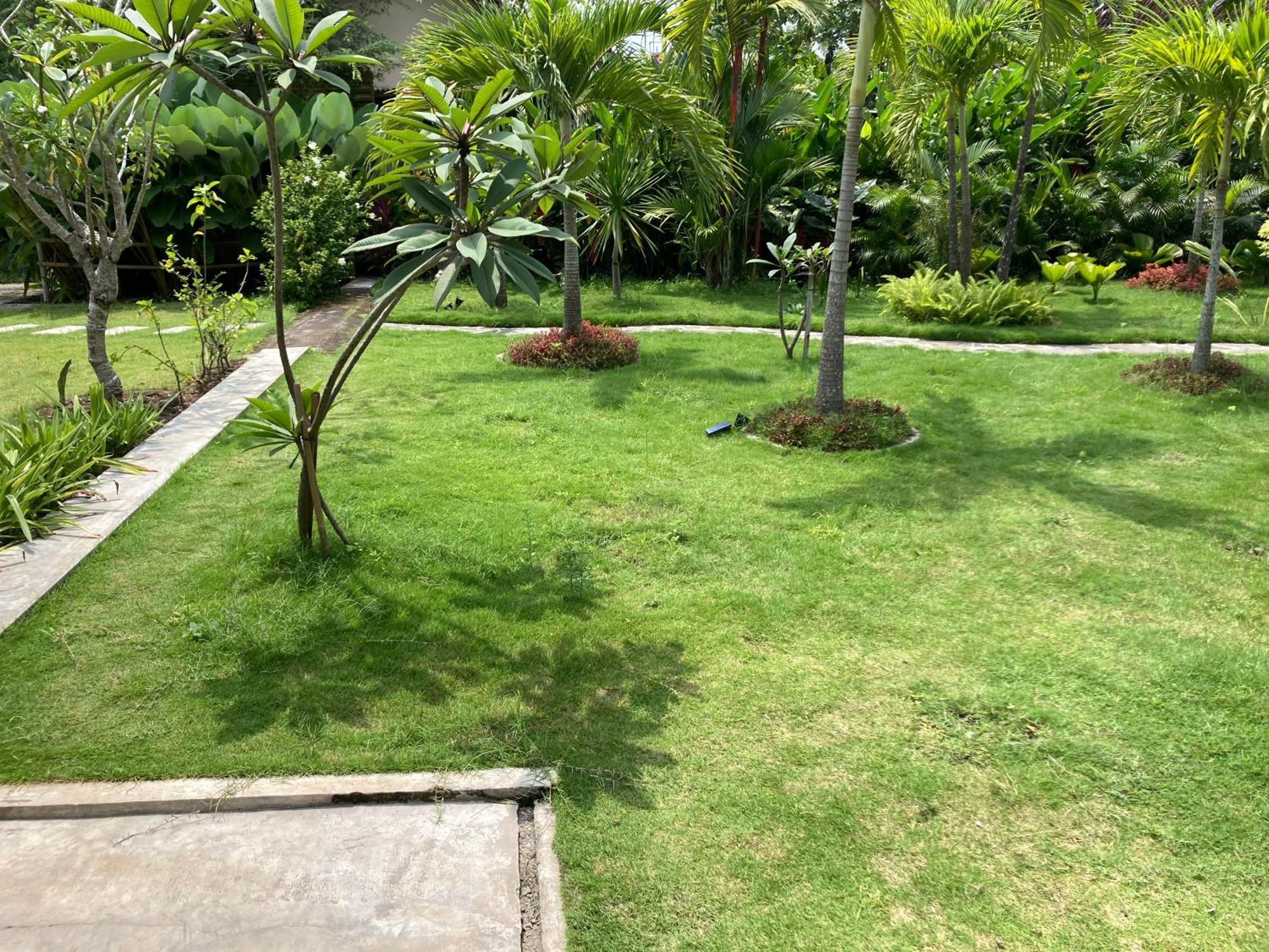 Ohmmstay - Rumah Pendopo Tanjungtirto المظهر الخارجي الصورة