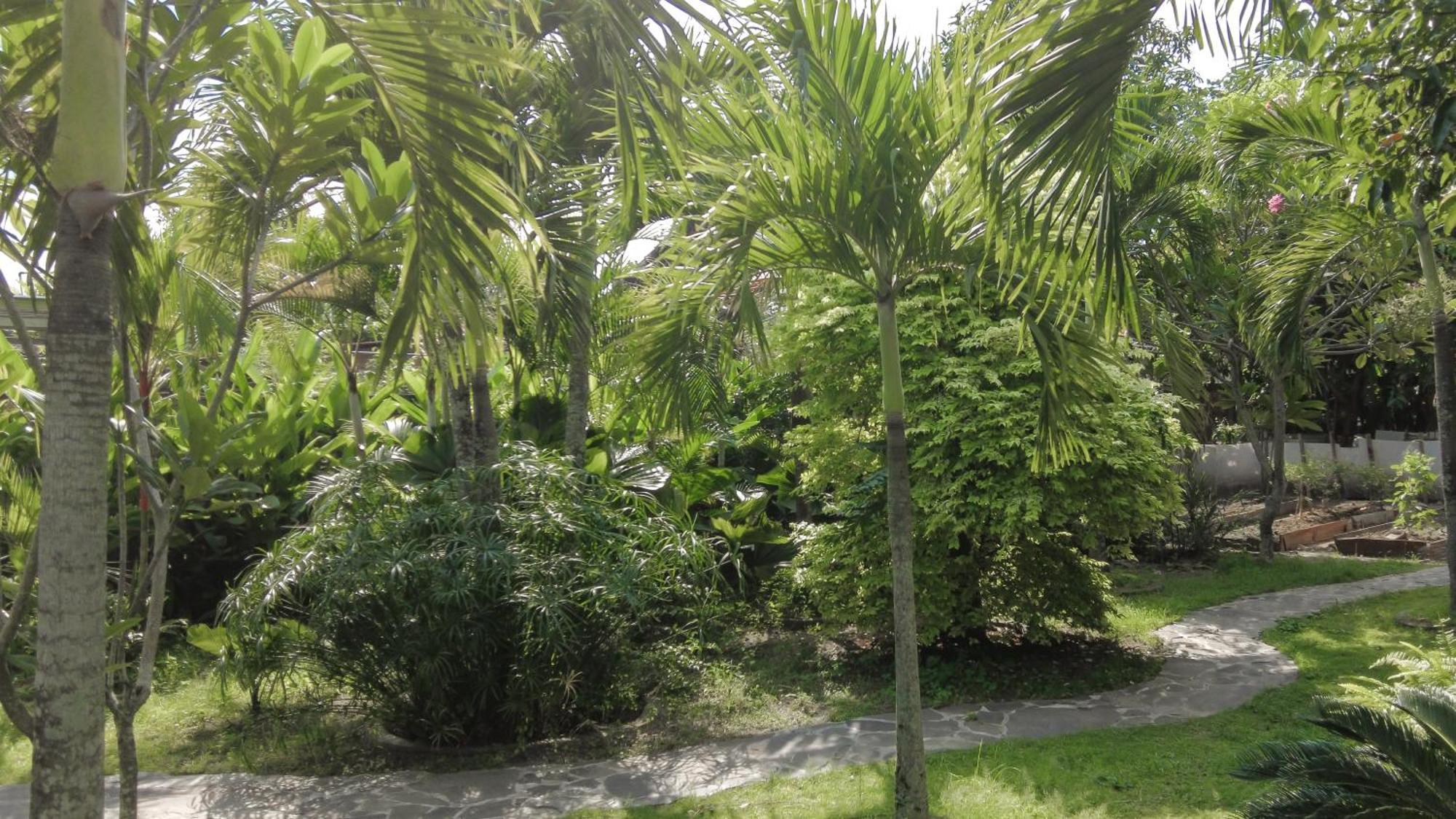 Ohmmstay - Rumah Pendopo Tanjungtirto المظهر الخارجي الصورة